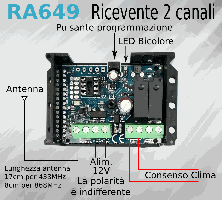 Odoo • Immagine e testo