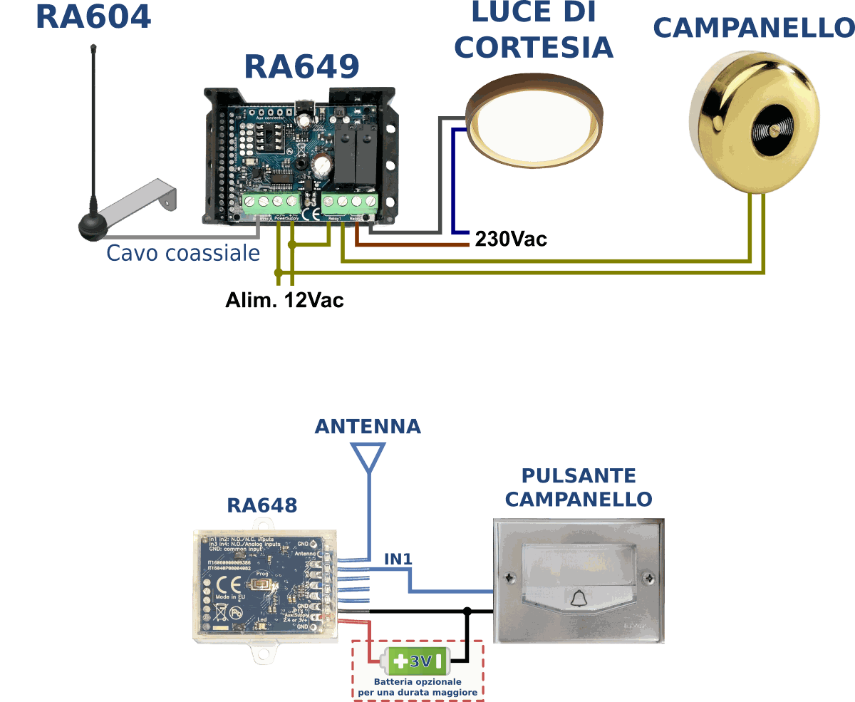 Odoo • Testo e immagine